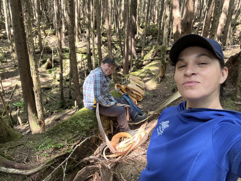 Tina Robinson and Pearl Innis gathering cedar in the forst